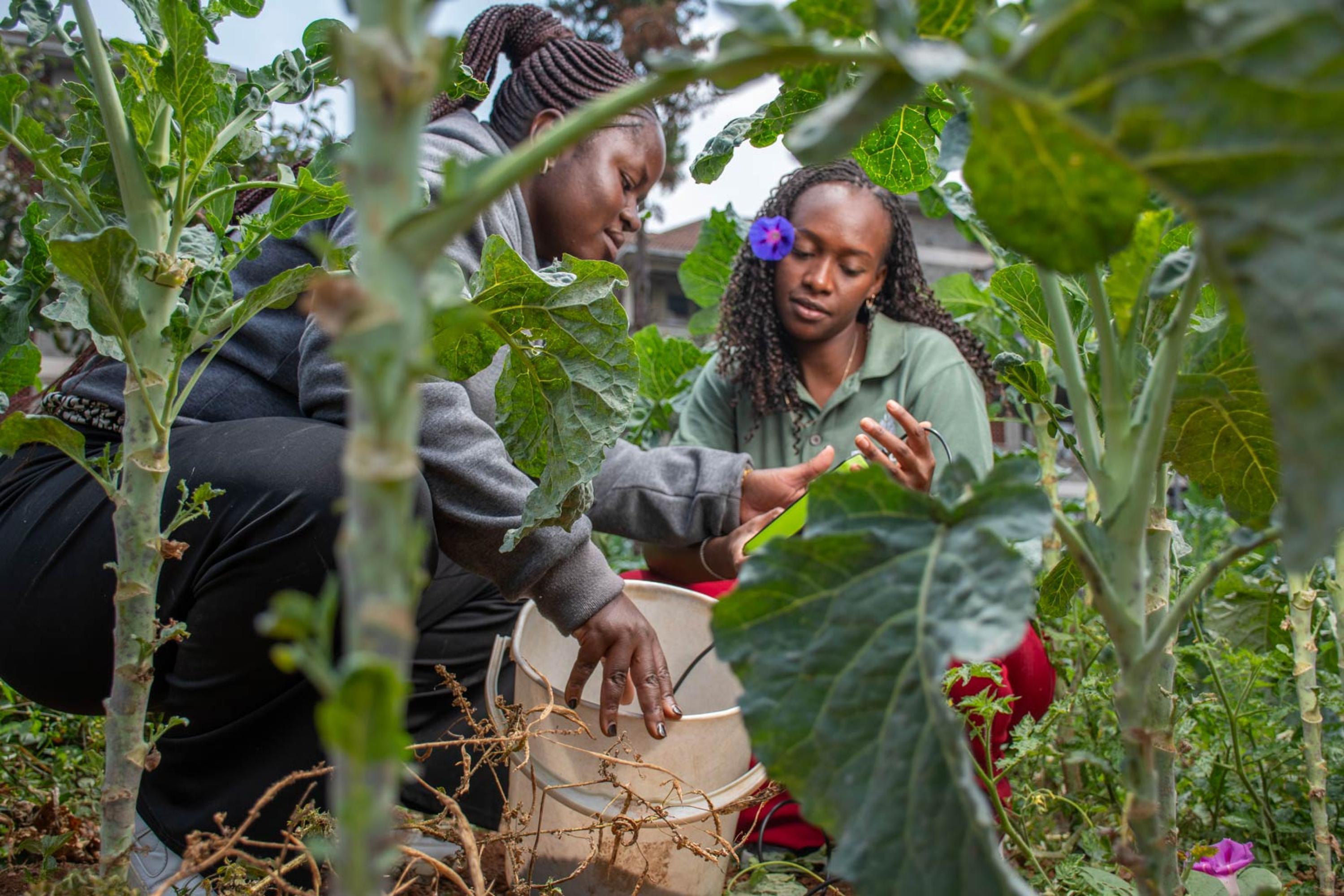 <? echo $image_subtitle; ?>